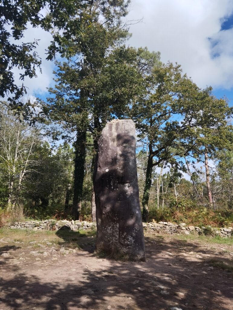 photo du menhirs nommé le géant du manio à carnac