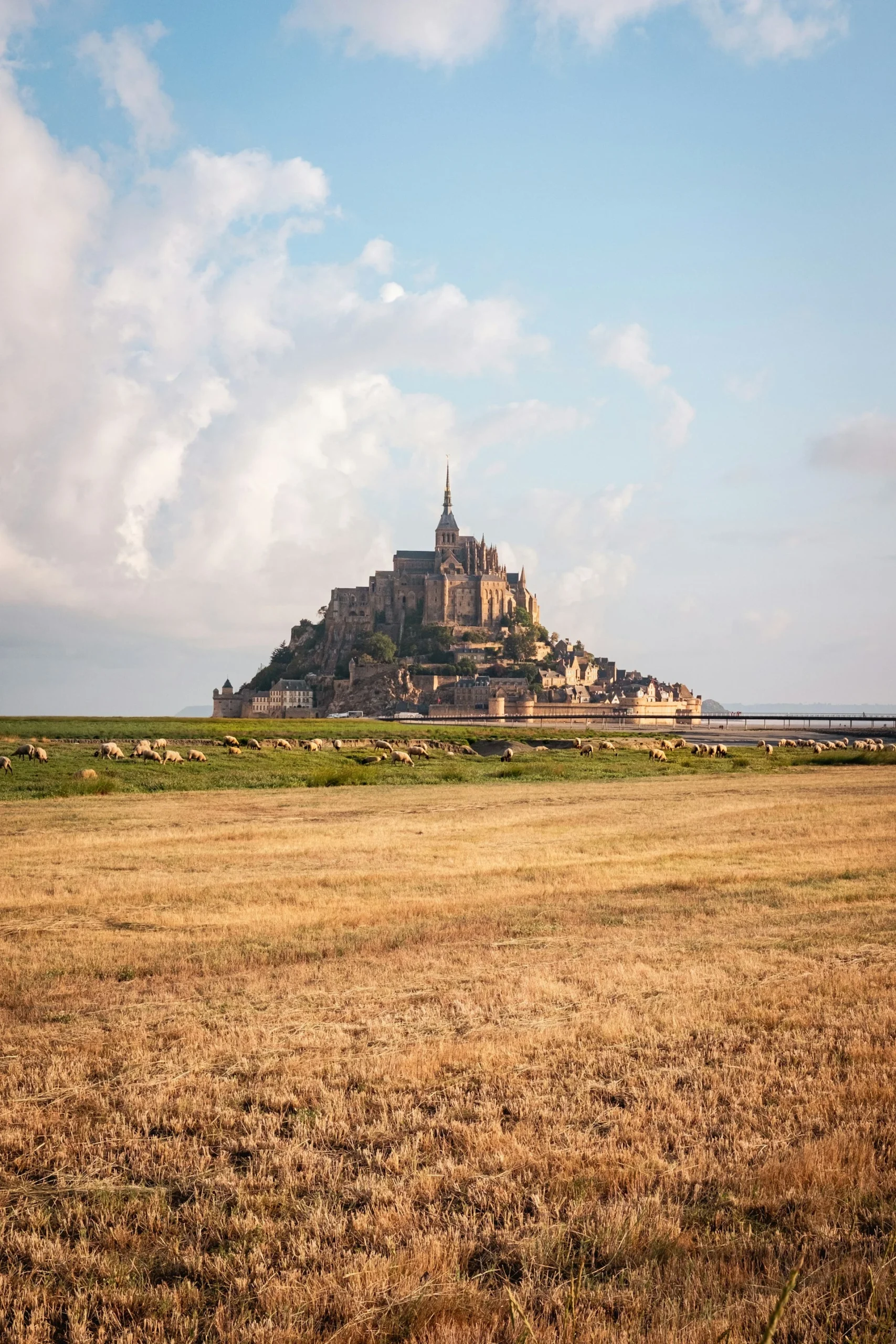 photo du mont saint michel et ses prés